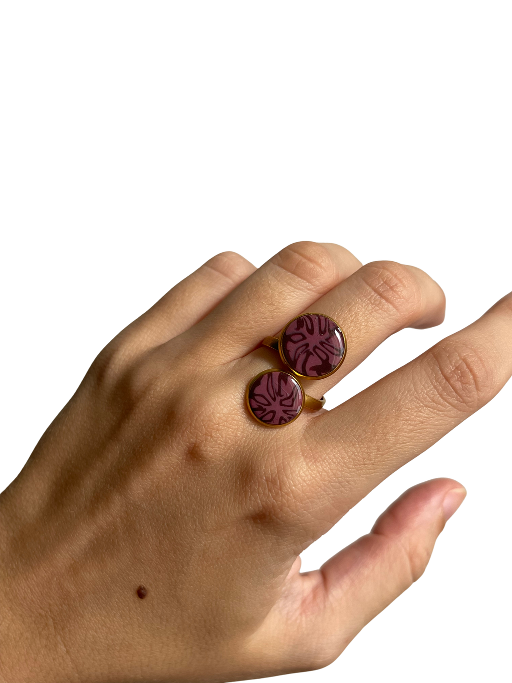 Musa rosa