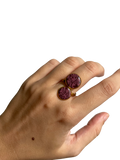 Musa rosa